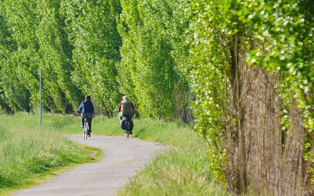 Uscita in bicicletta